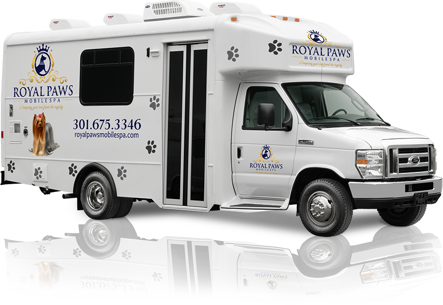 Royal Paws Mobile Spa | Pampering Your 