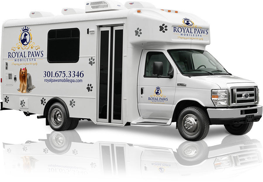 Tour Our Salon | Royal Paws Mobile Spa